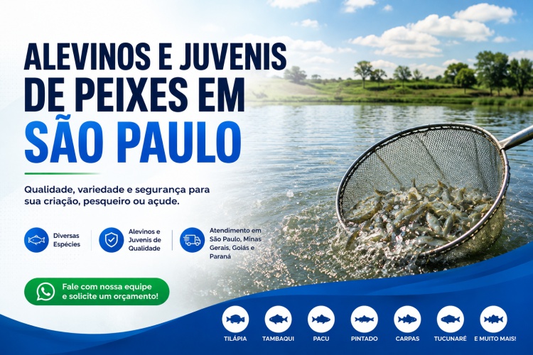 Alevinos e Juvenis de Peixes em São Paulo Alevinos e Juvenis de Peixes em São Paulo