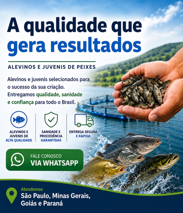 SP Alevinos e Juvenis Cabeçalho
