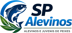 SP Alevinos Logo